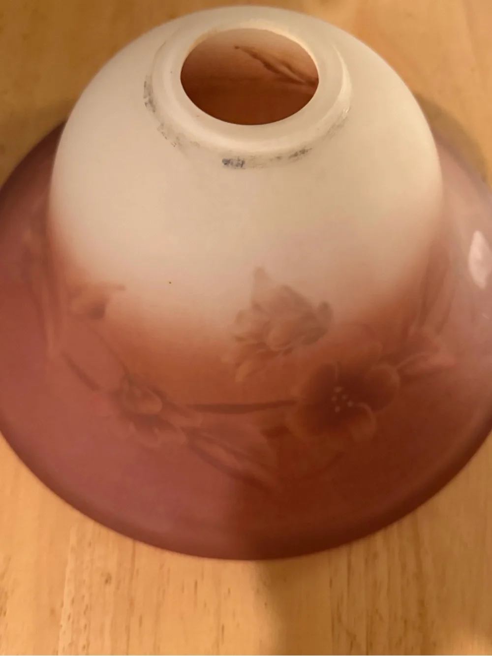 Antique Galle Style  Acid Etched  Floral  Glass Lamp Shade